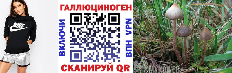 darknet Telegram  Северо-Курильск  Псилоцибиновые грибы мухоморы 